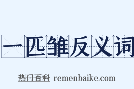 一匹雏反义词是什么意思的图片